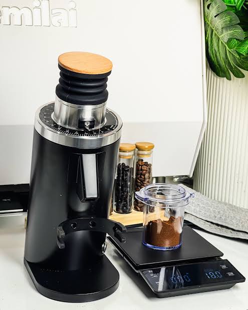 DF54 Electric Coffee Grinder