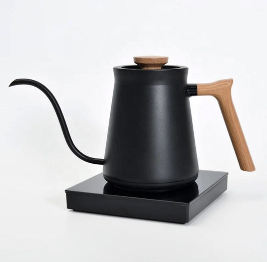 Electric Temperature-controlled gooseneck kettle